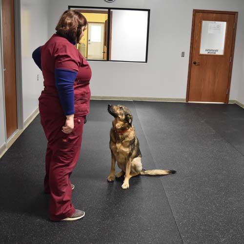 Heavy Duty Rubber Kennel Floor Tiles