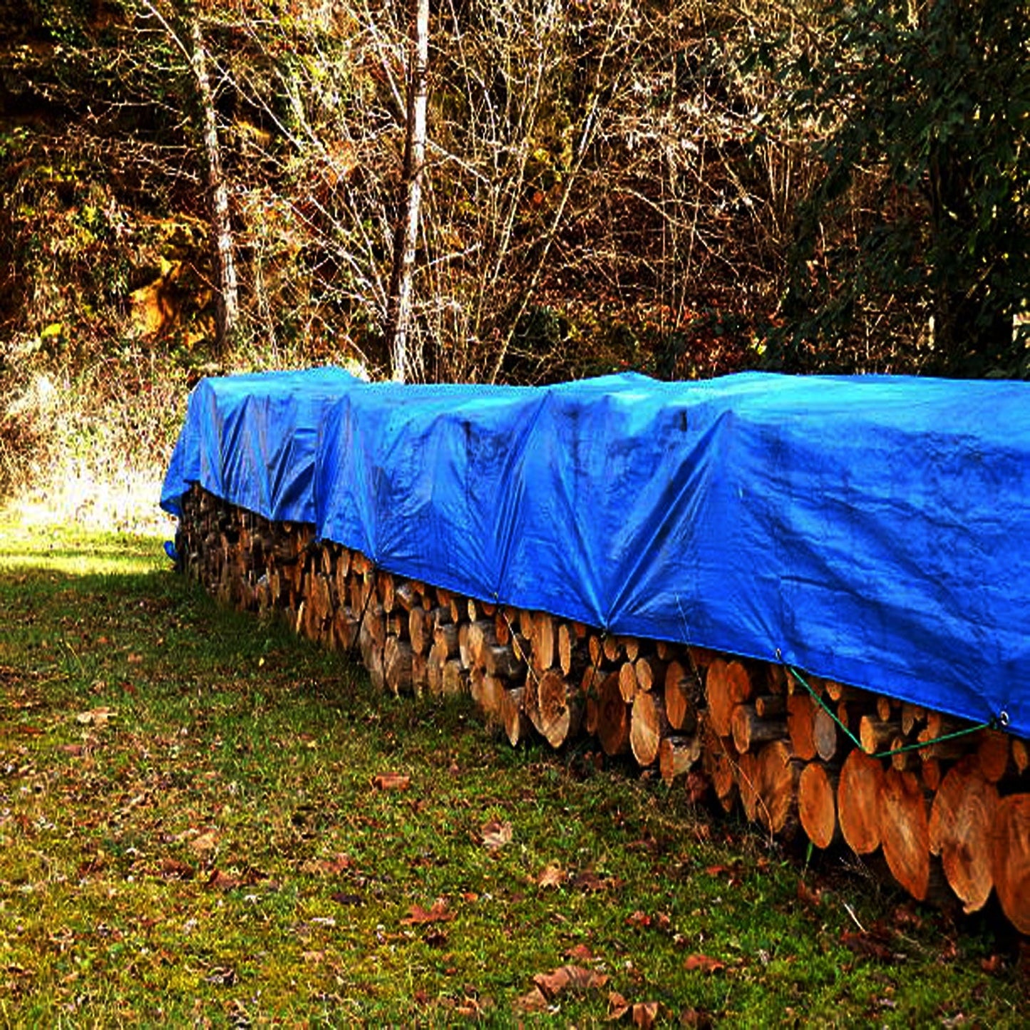 Premium Tarps Heavy Duty Tarpaulins