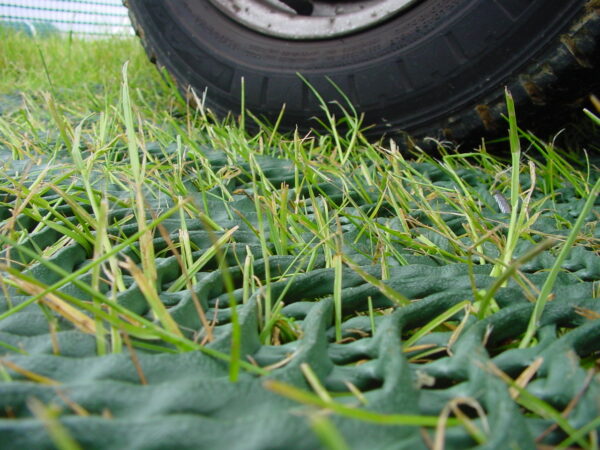 High Grade Grass Reinforcement Mesh for Outdoor