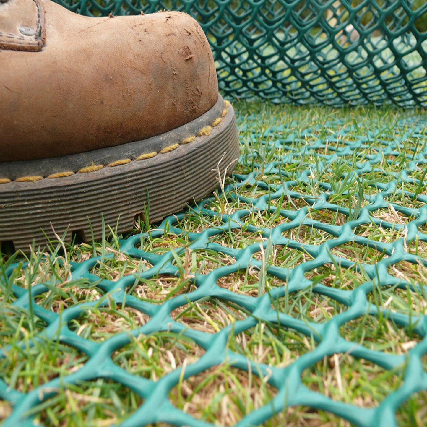 Grass Protection Mesh