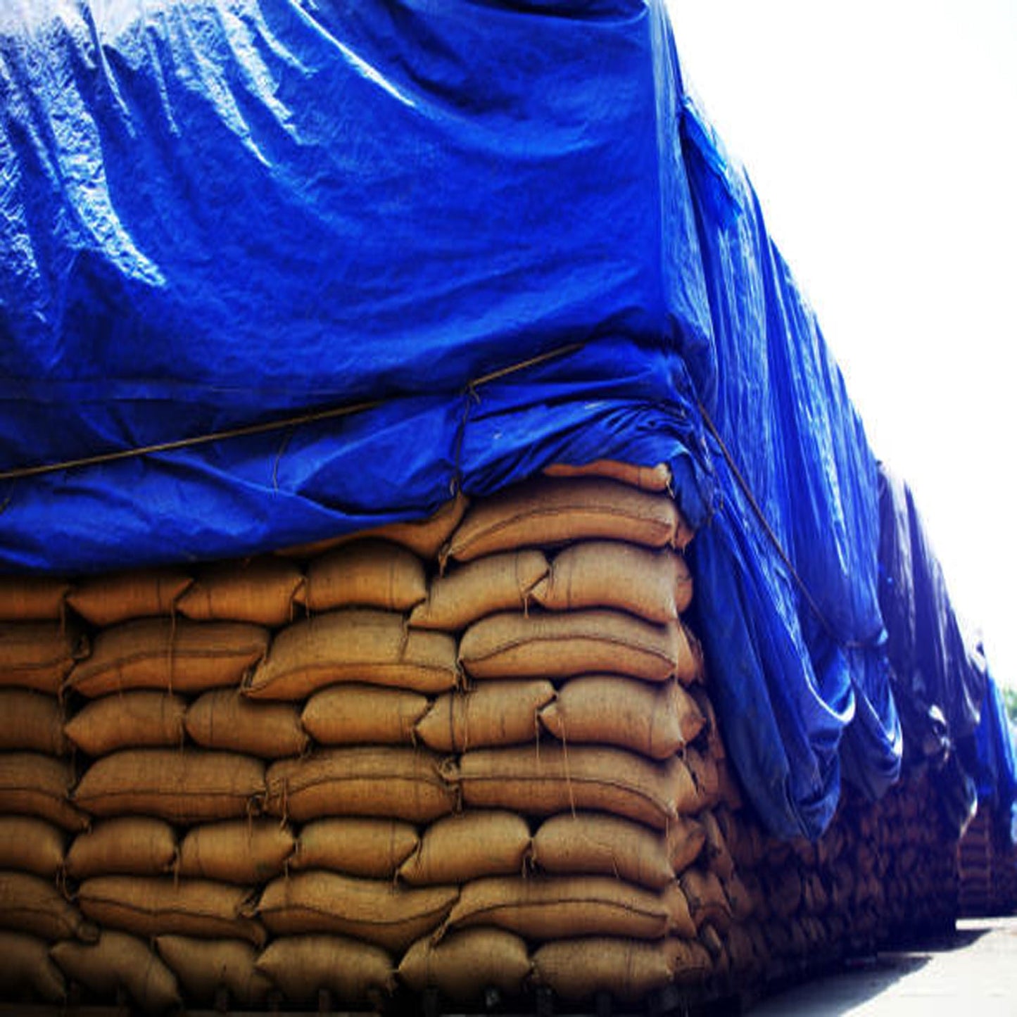 Heavy Duty Waterproof Blue Tarpaulins