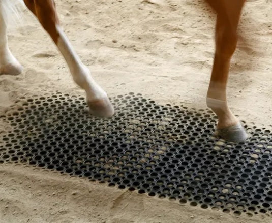 Animal Rubber Mat
