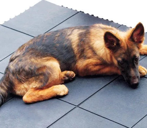 Interlocking Rubber Kennel Safety Floor Tiles