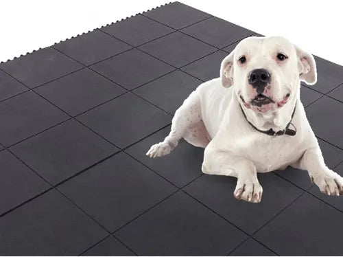 Interlocking Rubber Kennel Safety Floor Tiles
