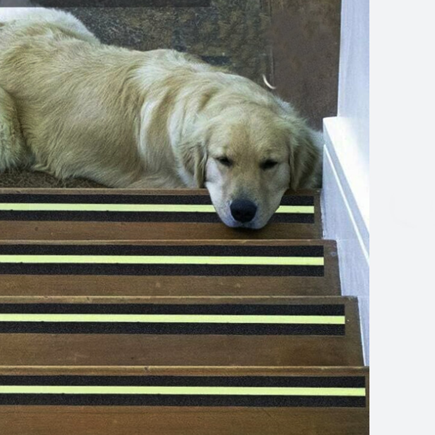 Non Slip Tape Glow in the Dark Best for Stair Tread Step and Other Slippery Surfaces