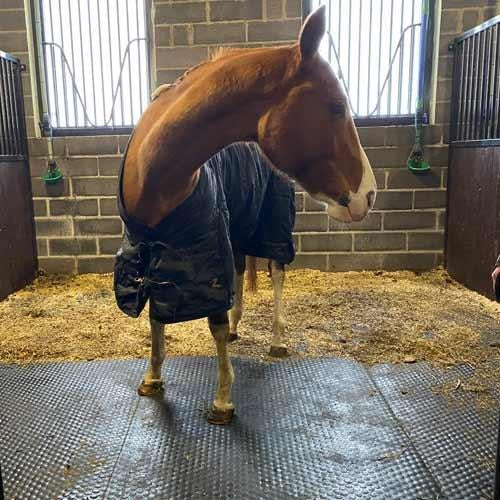 Heavy Duty Rubber Stable Mat