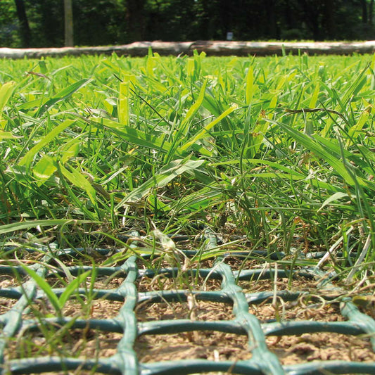 Non Slip Reinforcement Mesh for Grass